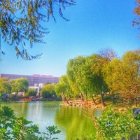 Photo taken at Bakırköy Botanik Parkı by Özal K. on 10/1/2016