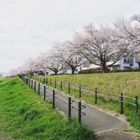 多摩川中央公園 福生市 Da Park 多摩川中央公園 福生市 Da Park