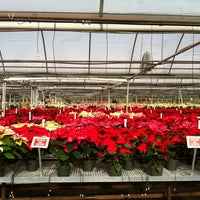 Photo taken at Fairview Garden Center by Chesley P. on 12/8/2012