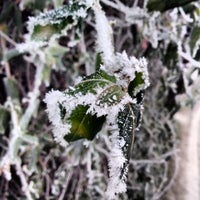 Photo taken at Пешачка Патека Кисела Вода by Aleksandra O. on 1/22/2014