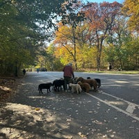 Photo taken at Prospect Park Loop by Brynn S. on 11/13/2023