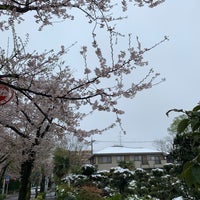 Photo taken at 用賀小学校 by もうや on 3/29/2020