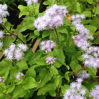 インナチュラル 越谷レイクタウン店 レイクタウン3 1 1