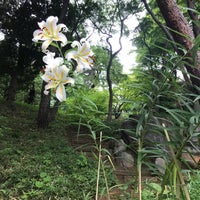 Photo taken at Tonogayato Gardens by Aurel P. on 7/9/2023