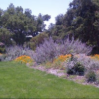 The Santa Barbara Botanic Garden Botanischer Garten In Santa Barbara