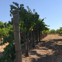 8/26/2017 tarihinde Kziyaretçi tarafından Gainey Vineyards'de çekilen fotoğraf