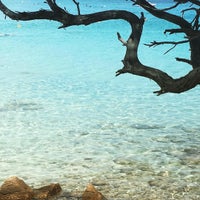 Spiaggia Del Relitto 10 Tips From 294 Visitors