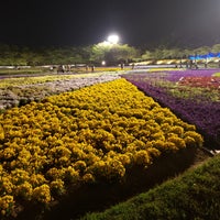 なばなの里 花ひろば Garden