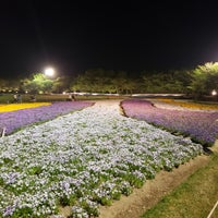 なばなの里 花ひろば Garden