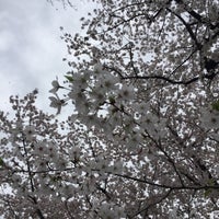 Photo taken at 東京都 南青山一丁目ひろば by Nijntje on 4/4/2016