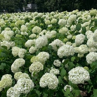Photo taken at Sagamihara Kita Park by magnolia c. on 6/17/2023