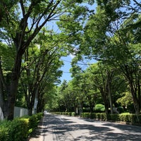 Photo taken at 秦野市立桜土手古墳公園 by magnolia c. on 6/25/2022