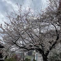 Photo taken at Miyamoto Park by hiropapipapi on 3/21/2023