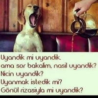 Ipegim Mobilya Photos Facebook