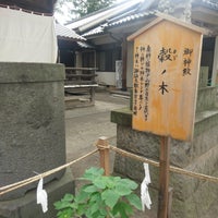 上田市指定天然記念物 科野大宮社社叢 上田市 長野県