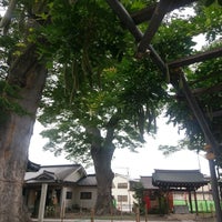 上田市指定天然記念物 科野大宮社社叢 上田市 長野県