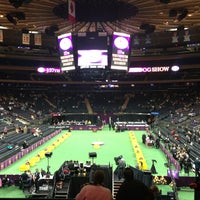 Photo taken at 136th Westminster Kennel Club Dog show by Amy on 2/13/2013