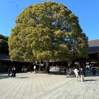 Photo taken at Meoto Kusu (Camphor Tree) by くりりん や. on 1/30/2024