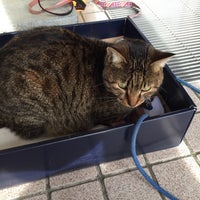 Photos At 滋賀県動物保護管理センター 湖南市 滋賀県
