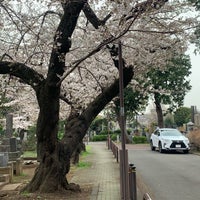 Photo taken at Yanaka Cemetery by Акихико К. on 4/3/2024
