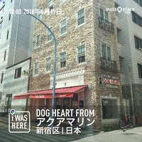 Dog Heart From アクアマリン Pet Store Dog Heart From アクアマリン Pet Store