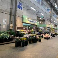 Photo taken at Ota Market Flower Div. by Акихико К. on 2/24/2024