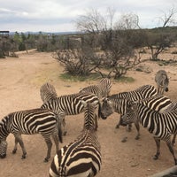 Photo taken at Out of Africa by Carrie B. on 4/7/2017