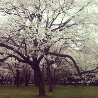 小金井公園西口 Park In 小金井