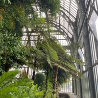Photo taken at Grandes Serres du Jardin des Plantes by Nastia K. on 7/25/2021