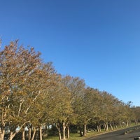 唐津市立松浦河畔公園