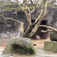 Photo taken at Tierpark Hagenbeck by Thomas S. on 2/20/2023