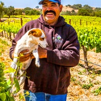 Das Foto wurde bei Zaca Mesa Winery &amp;amp; Vineyard von Zaca Mesa Winery &amp;amp; Vineyard am 4/3/2015 aufgenommen