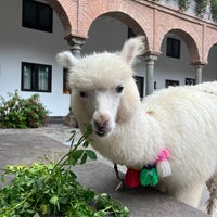 12/17/2022 tarihinde Claudette C.ziyaretçi tarafından JW Marriott El Convento Cusco'de çekilen fotoğraf