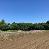 Photo taken at ときがわ花菖蒲園 by オッサン V. on 5/27/2022