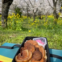 鶴舞公園 Park In 市原市 鶴舞公園 Park In 市原市