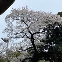 Photo taken at 平塚市総合公園 by スーパー宇宙パワー on 4/5/2024