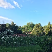 Photo taken at Ботанический сад КФУ (Воронцовский парк) by Rusfet K. on 6/14/2020