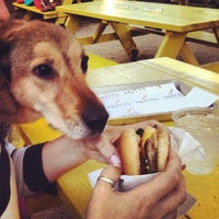 Photo taken at Mutts Canine Cantina by Oh Hey Dallas on 7/28/2013