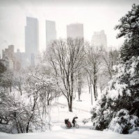 2/22/2016에 Patty P.님이 Peter Pen Tours of Central Park에서 찍은 사진