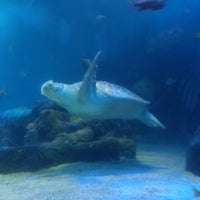 Photo taken at National Sea Life Centre by Stuart M. on 8/22/2019