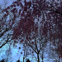 Photo taken at Flushing Meadows Corona Park by Victoria I. on 4/13/2024