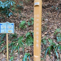 Photo taken at Nature Research Trail 6 by たけ１１ on 1/28/2023
