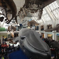 Photo taken at Natural History Museum by eugenie b. on 4/29/2013