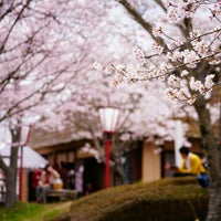三休公園 三休公園