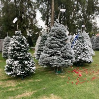 Photo taken at Christmas Trees by Erika S. on 11/19/2018