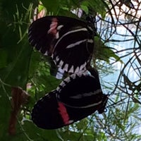 Photo taken at Butterfly World Project by Emma S. on 9/5/2014