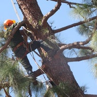 รูปภาพถ่ายที่ Gonzalez Landscaping &amp;amp; Tree Service โดย Gonzalez Landscaping &amp;amp; Tree Service เมื่อ 4/9/2015