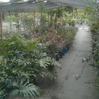 Pells Citrus And Nursery Os Fl Photo Taken At Pells Citrus And Nursery By Karina G On 8 10