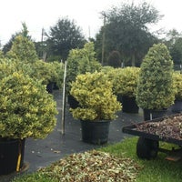Pells Citrus And Nursery Os Fl Photo Taken At Pells Citrus And Nursery By Karina G On 10 4
