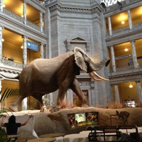 Photo taken at National Museum of Natural History by Jessie K. on 5/5/2013